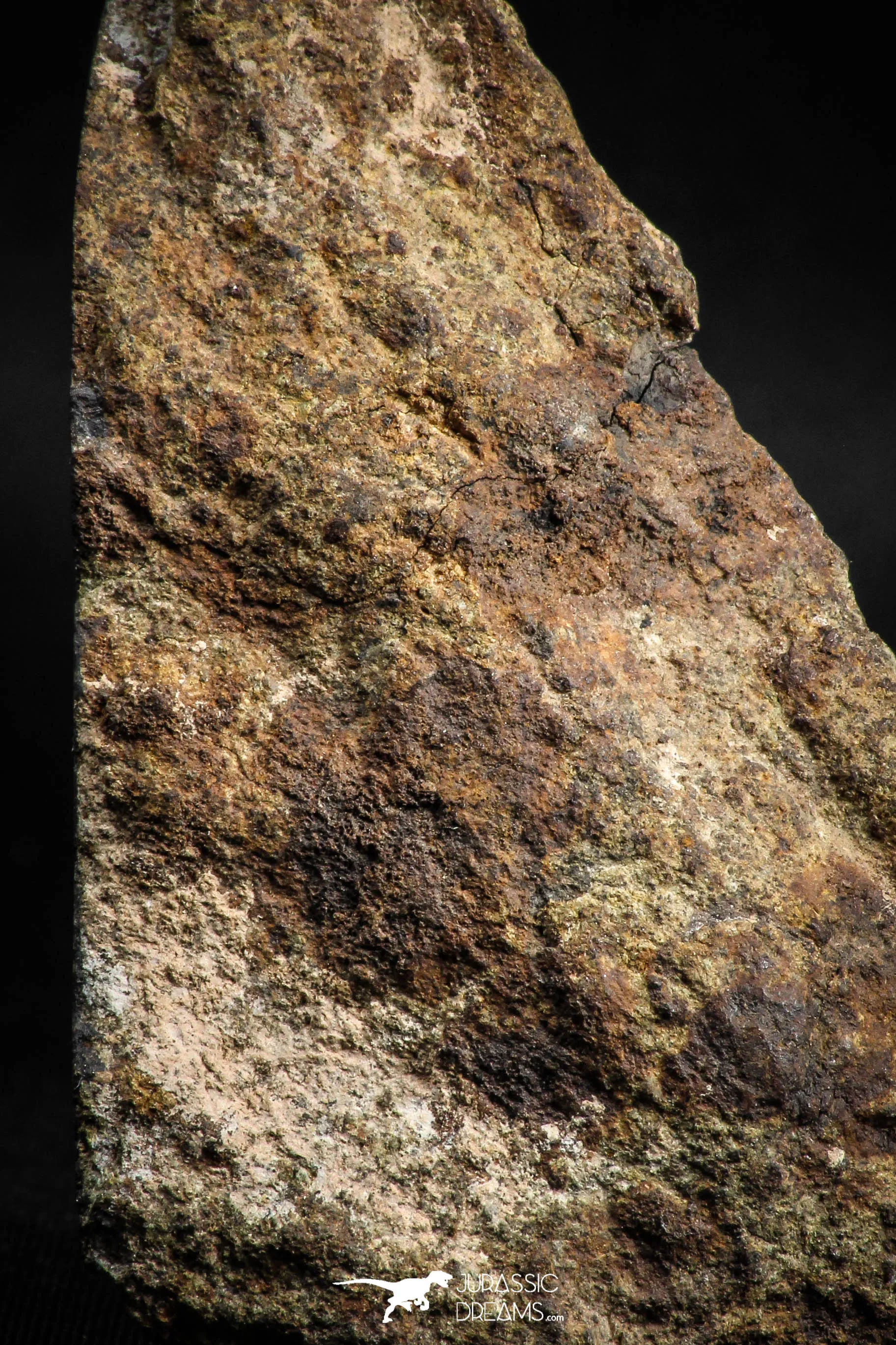 05103 - Nice Polished Section NWA Unclassified L-H Type Ordinary Chondrite Meteorite 44g