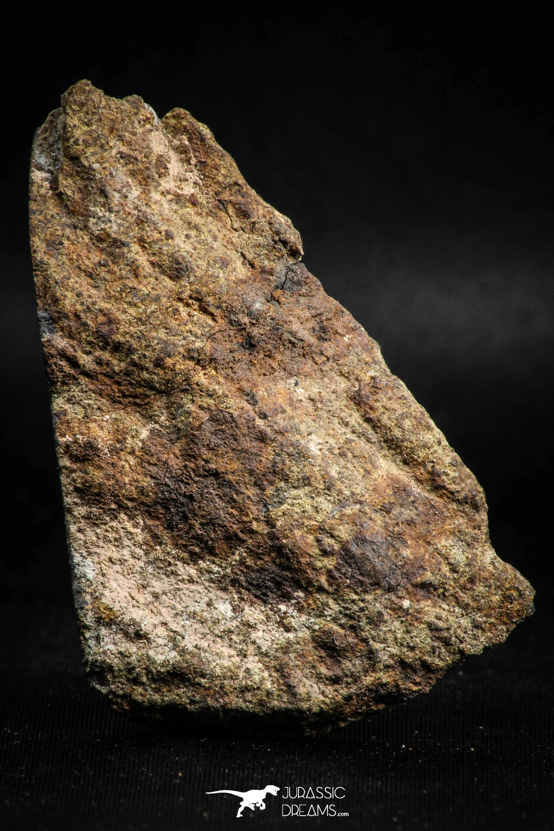 05103 - Nice Polished Section NWA Unclassified L-H Type Ordinary Chondrite Meteorite 44g