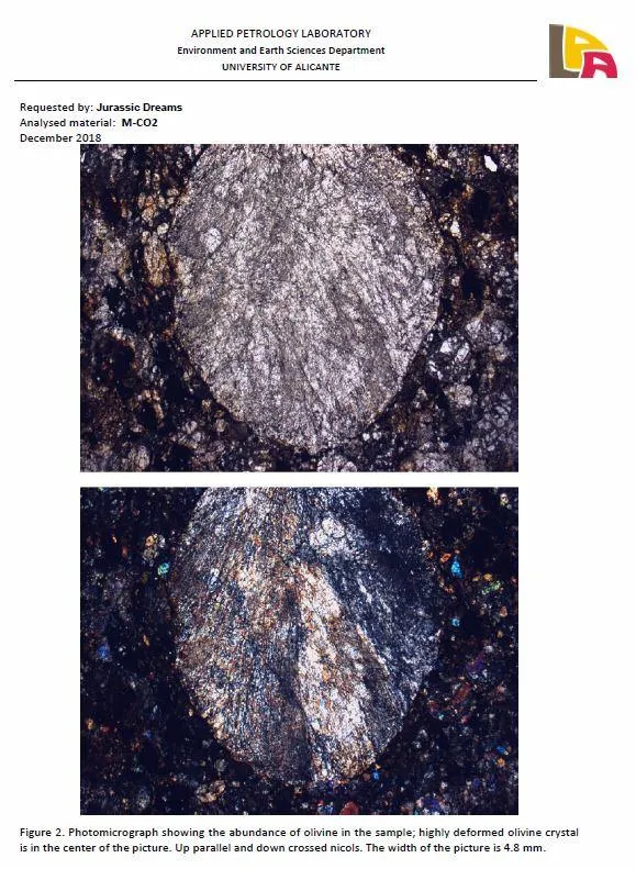 06009 - Beautiful Polished Section NWA Unclassified L-H Type Ordinary Chondrite Meteorite 10.0g