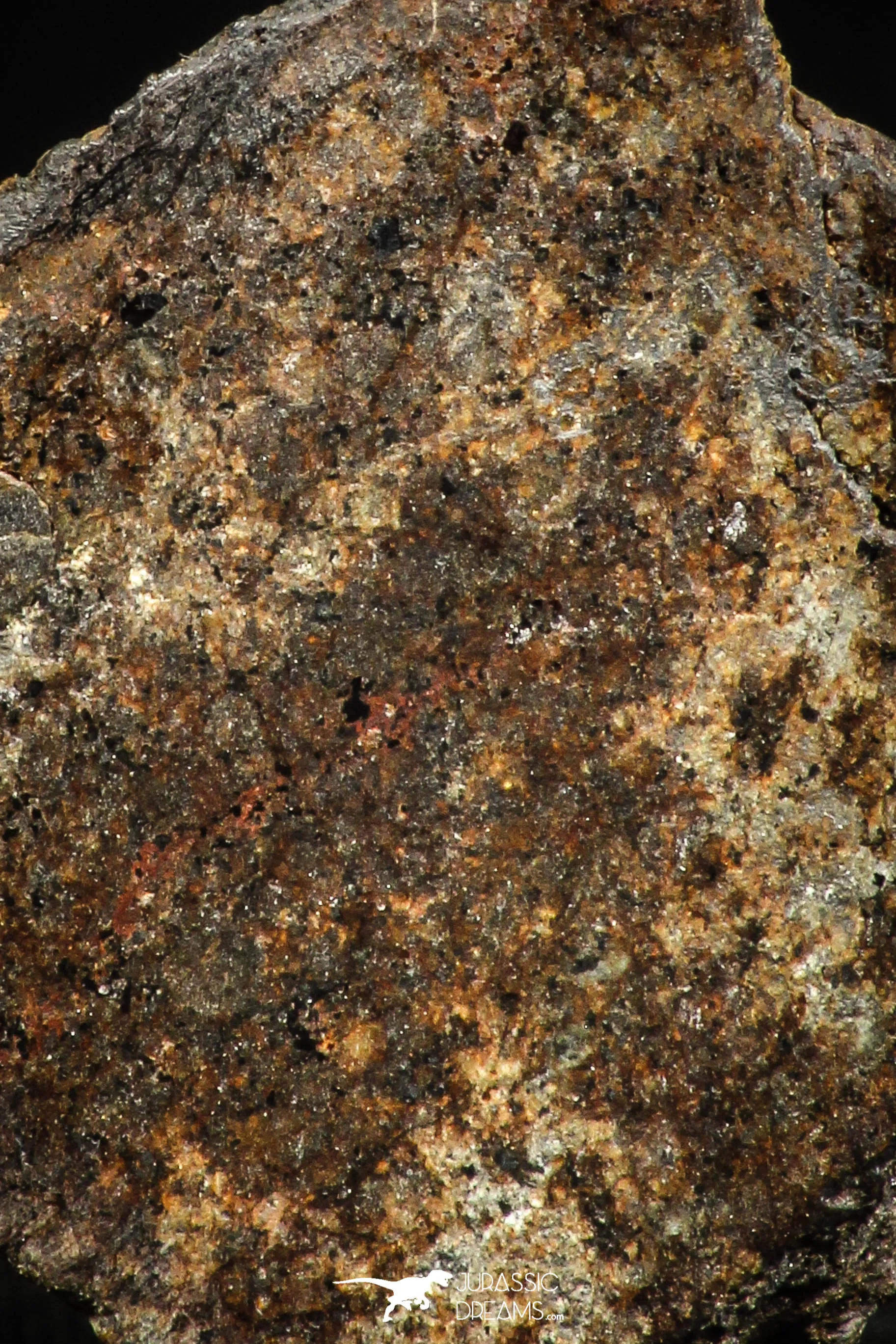 06009 - Beautiful Polished Section NWA Unclassified L-H Type Ordinary Chondrite Meteorite 10.0g