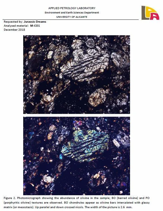 06292 - Nice Polished Section NWA Unclassified L-H Type Ordinary Chondrite Meteorite 34.0g