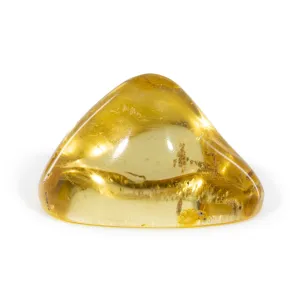 Amber 1.74 Inch 62.76 Carat Polished Freeform Specimen