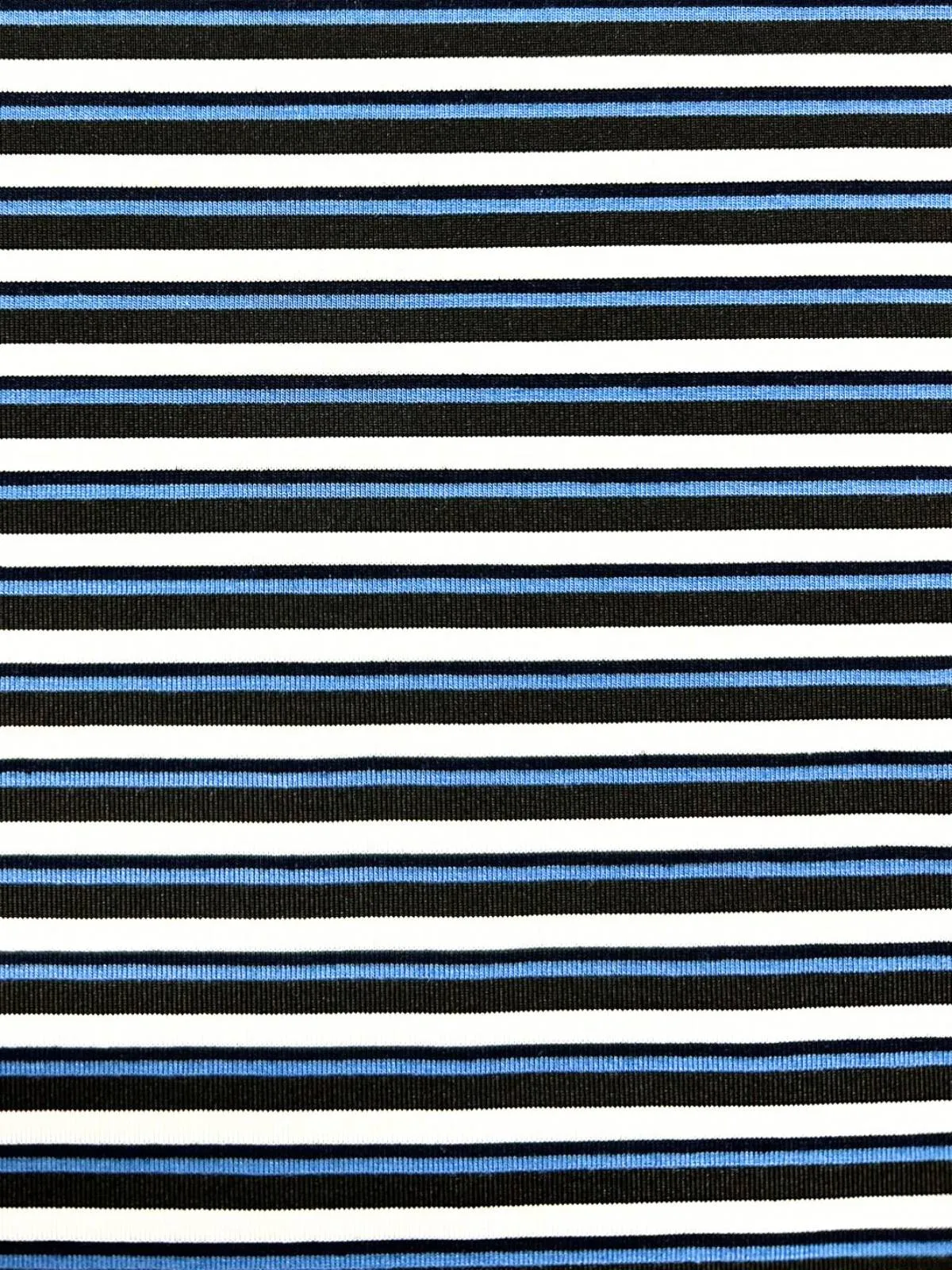 Bermuda Stripe Cotton L/S Tee - Black/Blue