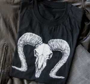 Capricorn (Dec 22 - Jan 19) Zodiac T-Shirt