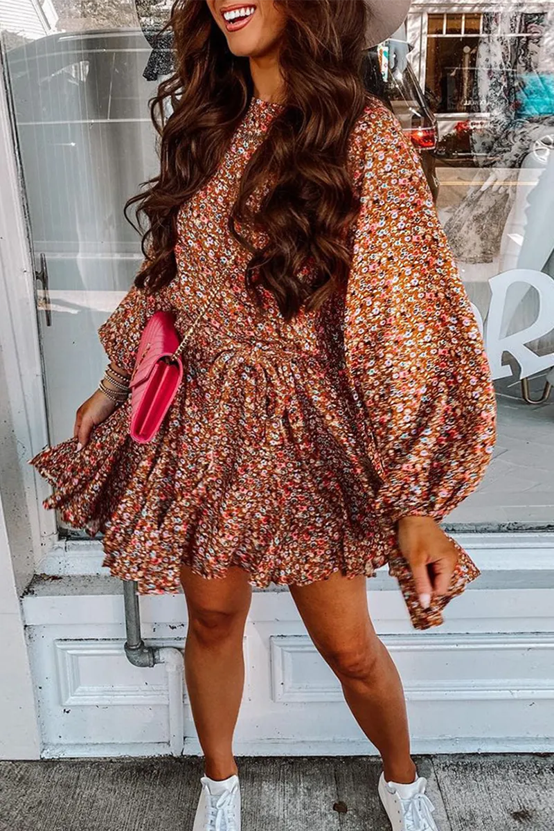 Casual Print O Neck Cake Skirt Dresses