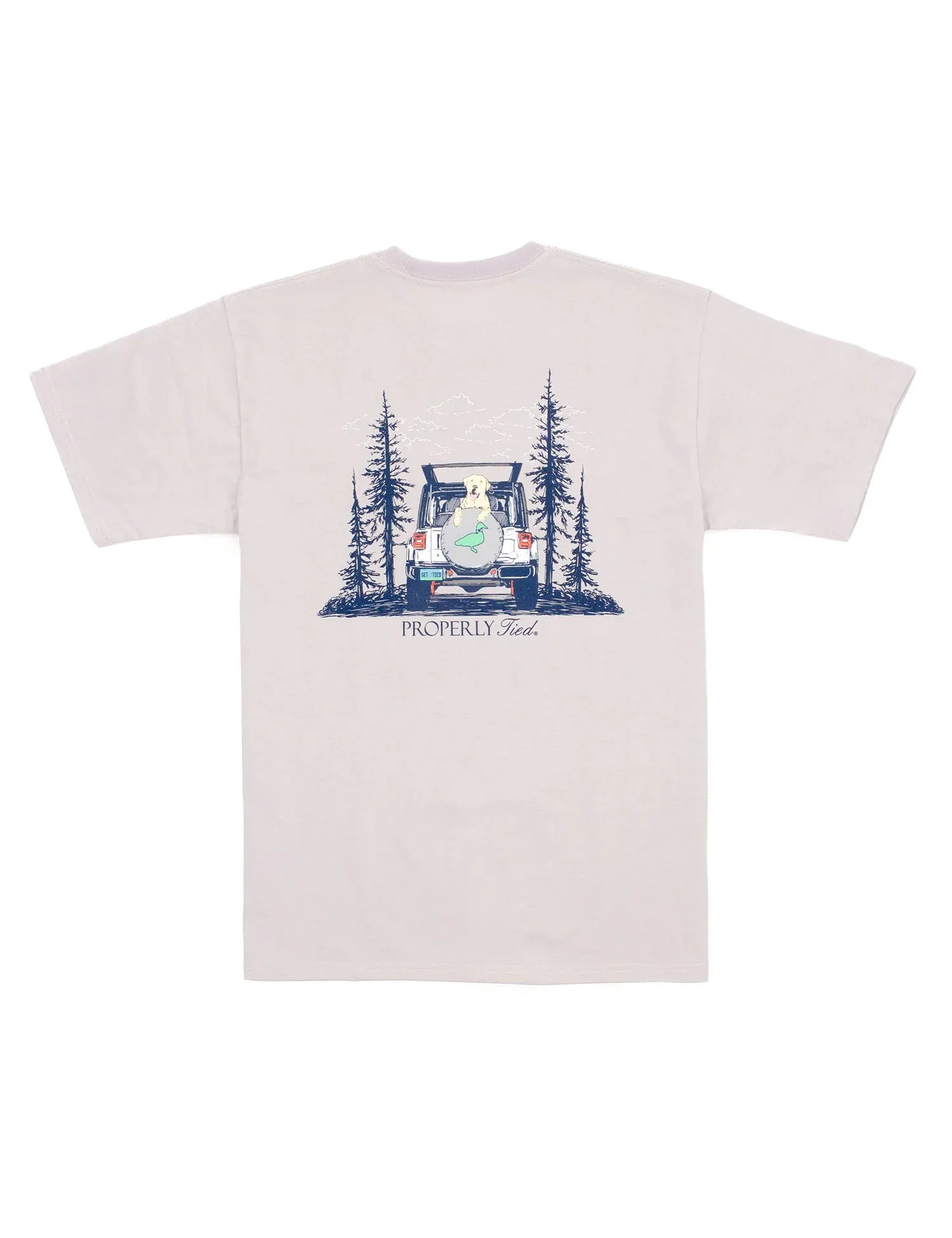 Catch A Ride Tee (Ice Grey)