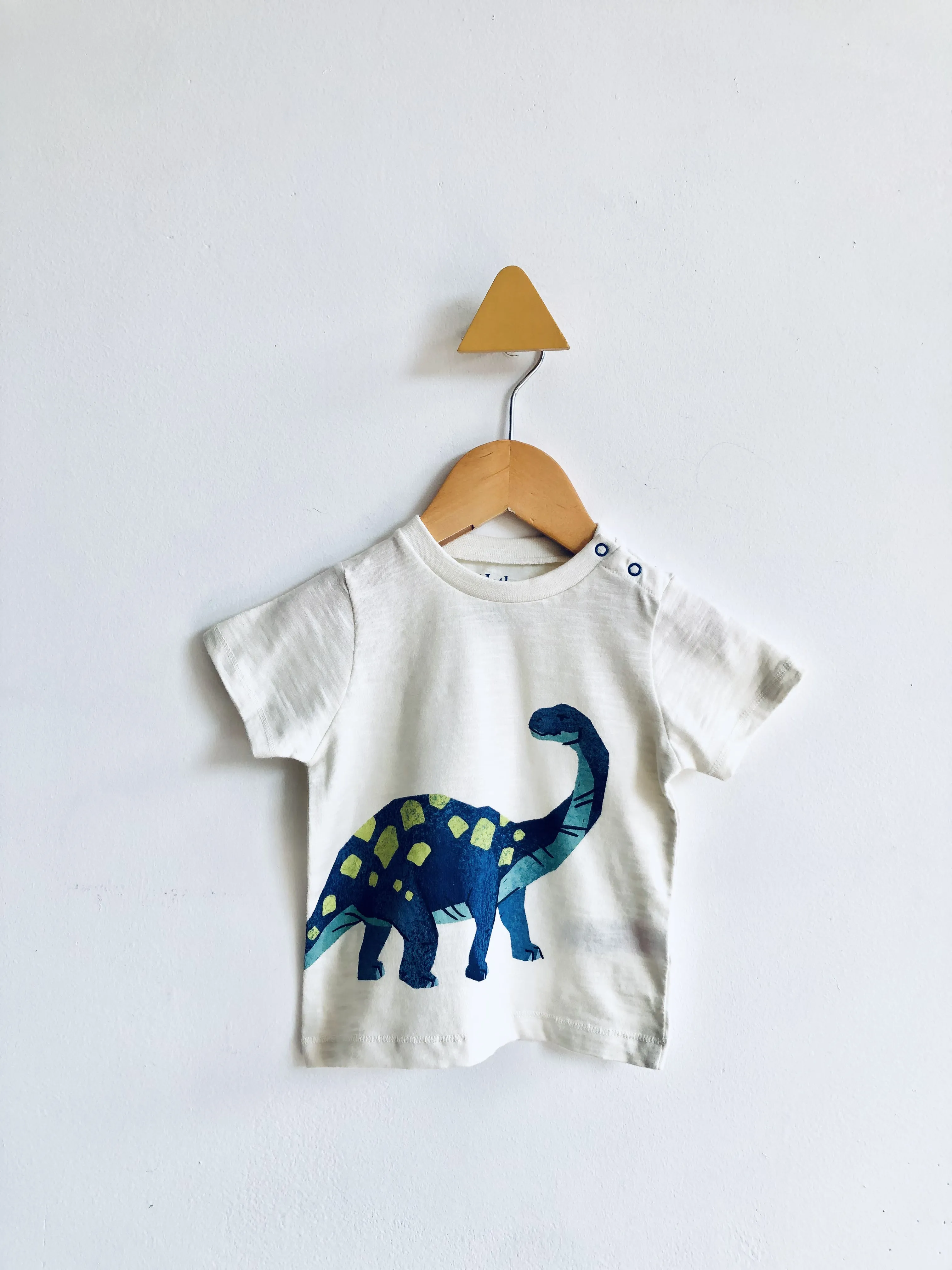 Dinosaur Tee // 9-12M