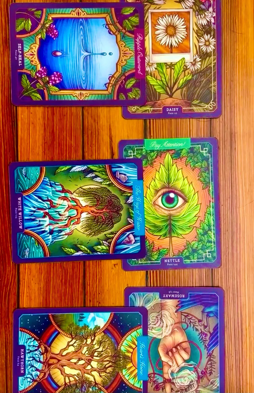 Dust & Divination