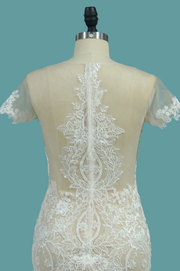 Scoop Short Sleeve Mermaid Tulle Lace Appliques Wedding Dresses OKE76